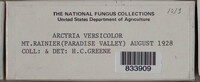 Image Associated With the Occurence